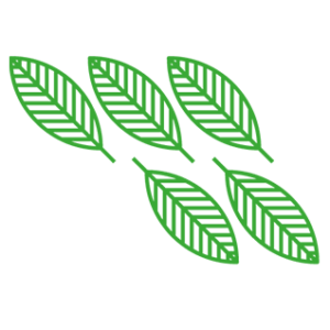 Logotipo do grupo OBB – Olimpíada Brasileira de Biologia