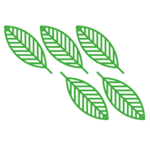 Logotipo do grupo OBB – Olimpíada Brasileira de Biologia